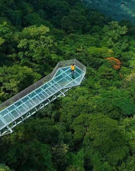 Vagamon Glass Bridge