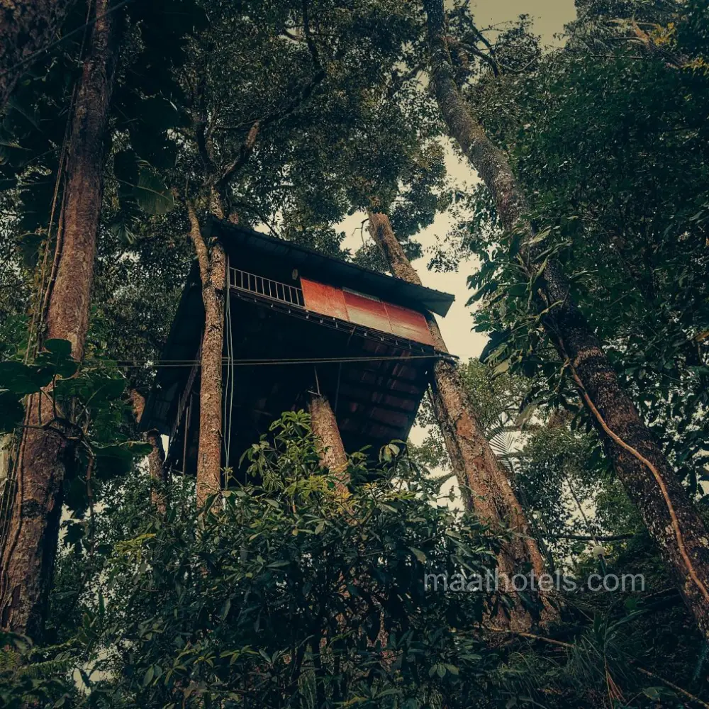 Munnar Treehouse