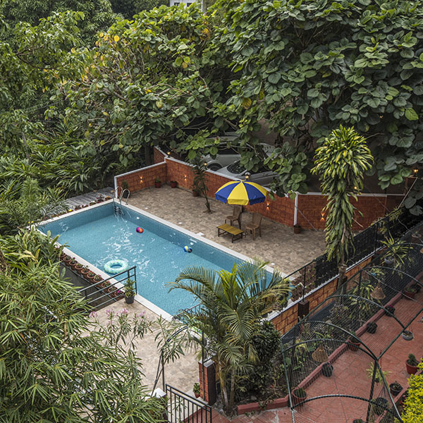 Swimming pool Spice jungle Resort Munnar